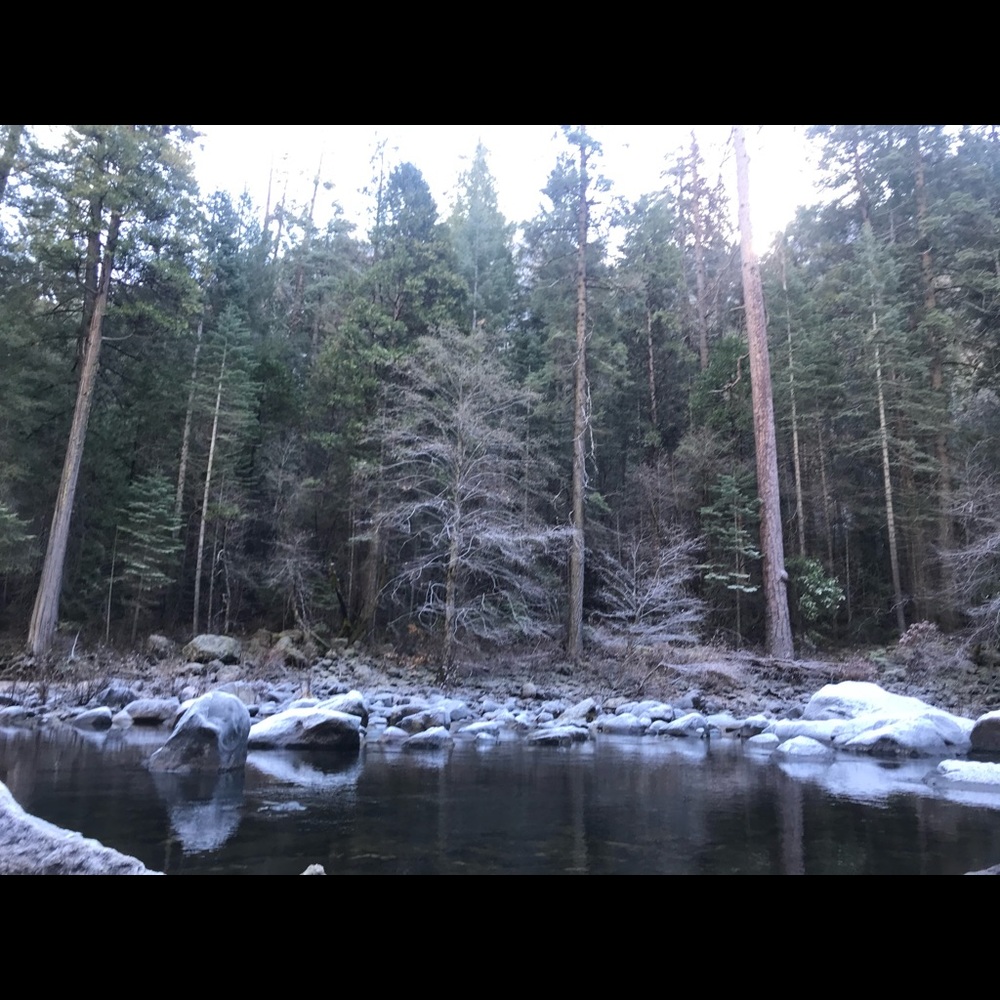 Meet your Posher, Rene